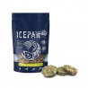 ICEPAW Kabeljau Cookies Ciastka z dorsza dla psów  produkt 100g