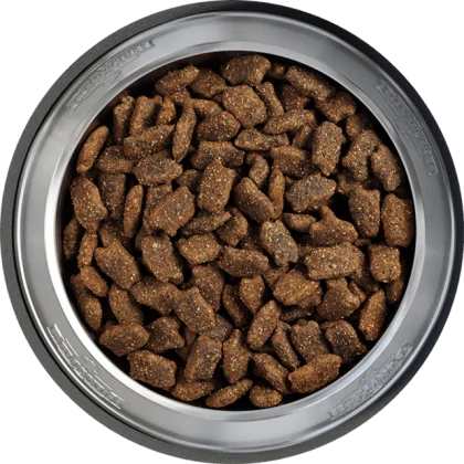 Miska z krokietami suchej karmy Belcando Mastercraft świeża wołowina dla psów wszystkich ras