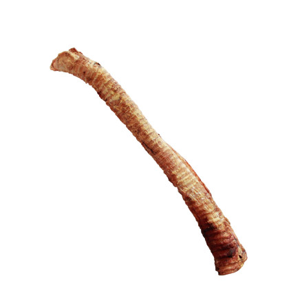 Lucze Tchawica wołowa 30cm