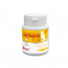 Vetfood L-Methiocid feline Preparat na układ moczowy, kamicę dla psów i kotów 39g
