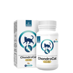 Pokusa ChondroCat  Naturalne wsparcie stawów dla kotów 110 tabletek