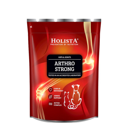 Holista ArthroStrong Preparat na stawy dla psów 600g
