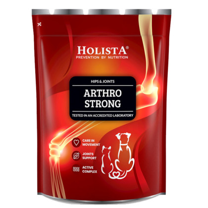 Holista ArthroStrong Preparat na stawy dla psów 600g