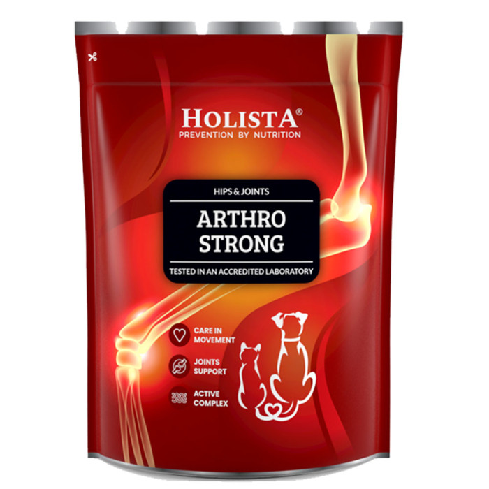 Holista ArthroStrong Preparat na stawy dla psów 600g