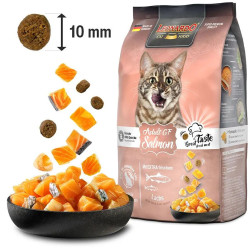 Leonardo Adult Salmon Gf Sucha karma dla kotów z nietolerancją pokarmową 300g