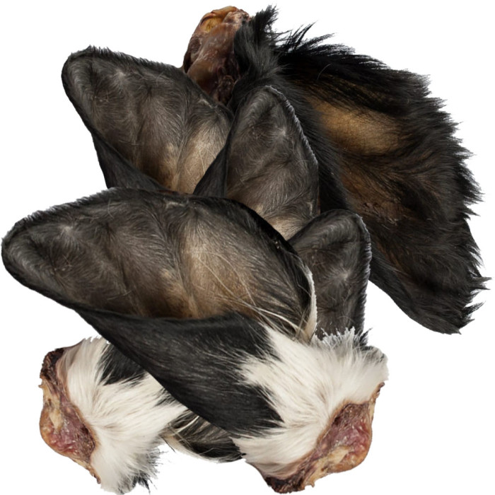 4Dogs Uszy wołowe z włosem 5 sztuk