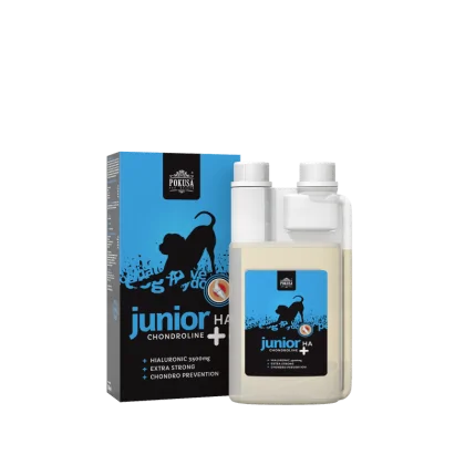 Pokusa ChondroLine Junior +HA Preparat w płynie dla szczeniąt produkt 500ml