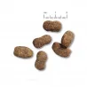 Belcando Adult Iberico & Rice Sucha karma 12,5 kg dla ps贸w wieprzowina iberyjska M-XL